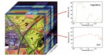 Des images particulières Des images particulières