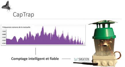 Le CapTrap n’existerait pas sans les réseaux bas-débit. Ce piège connecté permet de comptabiliser les entrées/sorties des noctuelles de la tomate et de transmettre les résultats directement à l’agriculteur par Internet, lui évitant de venir physiquement relever les pièges. Il pourra ainsi traiter ses plantes juste à temps. Les données de comptage sont transmises toutes les heures. Dès qu’il est déplacé, le CapTrap se positionne automatiquement via sa puce GPS.