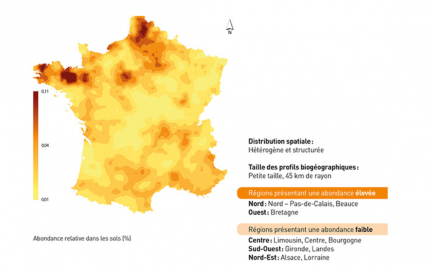 Les fibrobactères dans les sols en France